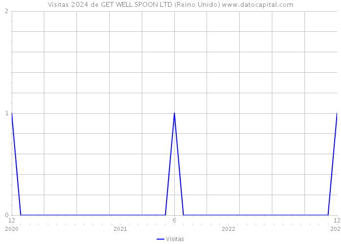 Visitas 2024 de GET WELL SPOON LTD (Reino Unido) 