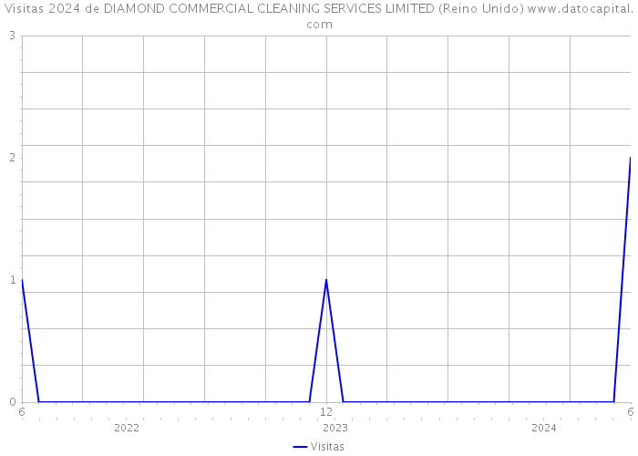 Visitas 2024 de DIAMOND COMMERCIAL CLEANING SERVICES LIMITED (Reino Unido) 