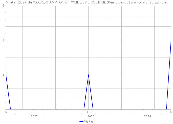 Visitas 2024 de WOLVERHAMPTON CITYWIDE BME COUNCIL (Reino Unido) 