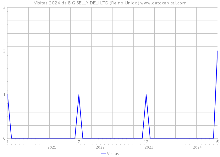 Visitas 2024 de BIG BELLY DELI LTD (Reino Unido) 