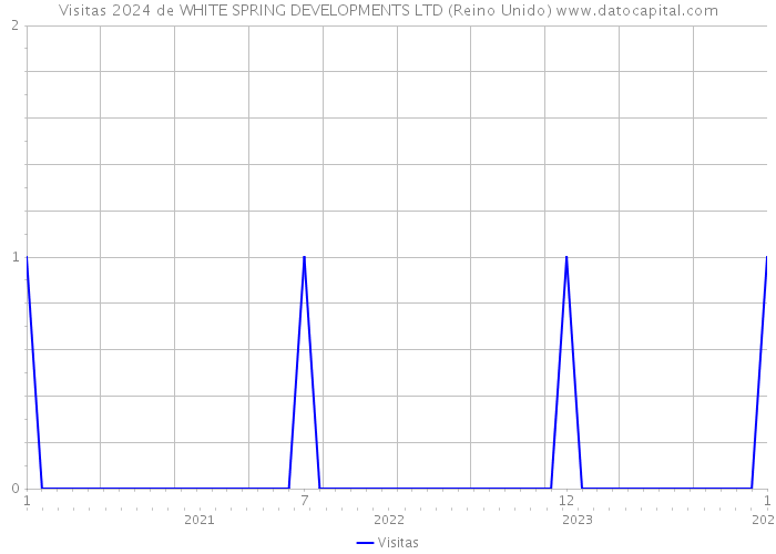 Visitas 2024 de WHITE SPRING DEVELOPMENTS LTD (Reino Unido) 