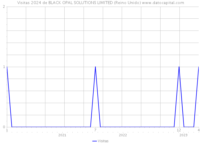 Visitas 2024 de BLACK OPAL SOLUTIONS LIMITED (Reino Unido) 