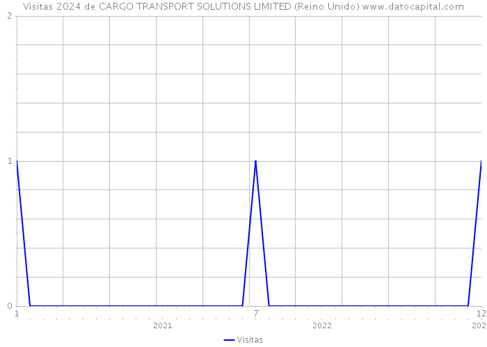 Visitas 2024 de CARGO TRANSPORT SOLUTIONS LIMITED (Reino Unido) 