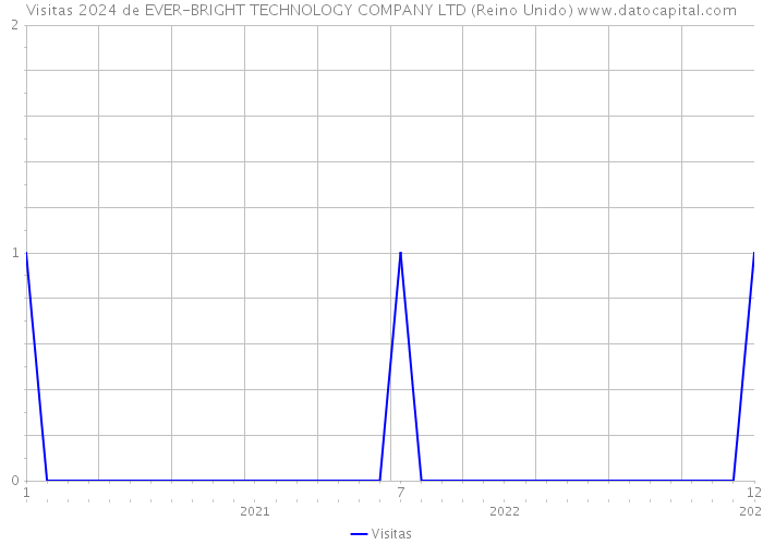 Visitas 2024 de EVER-BRIGHT TECHNOLOGY COMPANY LTD (Reino Unido) 