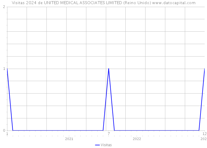 Visitas 2024 de UNITED MEDICAL ASSOCIATES LIMITED (Reino Unido) 