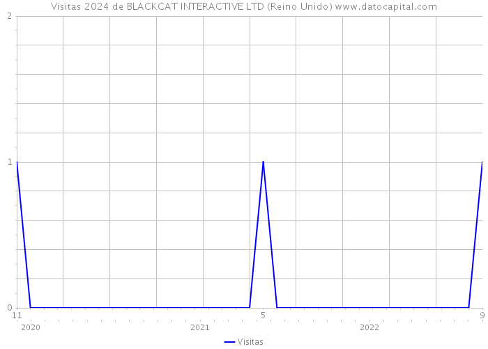 Visitas 2024 de BLACKCAT INTERACTIVE LTD (Reino Unido) 