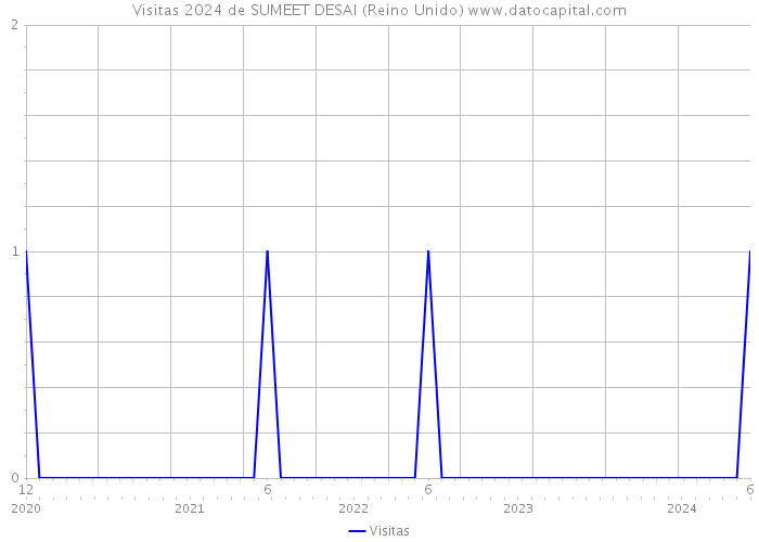 Visitas 2024 de SUMEET DESAI (Reino Unido) 