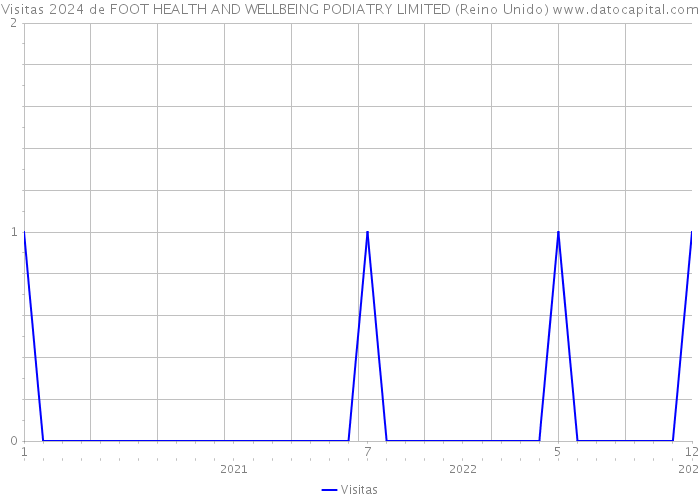Visitas 2024 de FOOT HEALTH AND WELLBEING PODIATRY LIMITED (Reino Unido) 