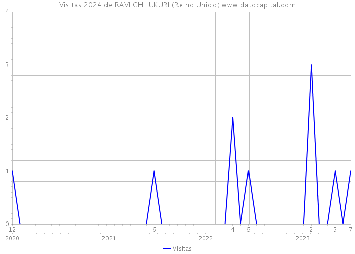Visitas 2024 de RAVI CHILUKURI (Reino Unido) 