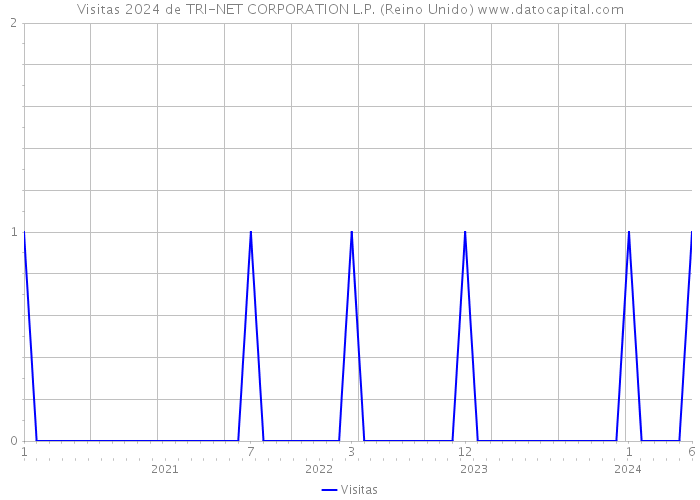 Visitas 2024 de TRI-NET CORPORATION L.P. (Reino Unido) 