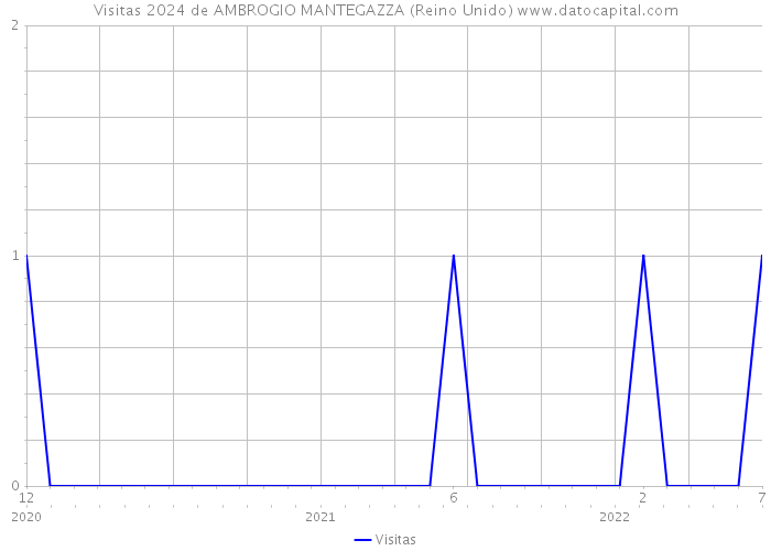 Visitas 2024 de AMBROGIO MANTEGAZZA (Reino Unido) 