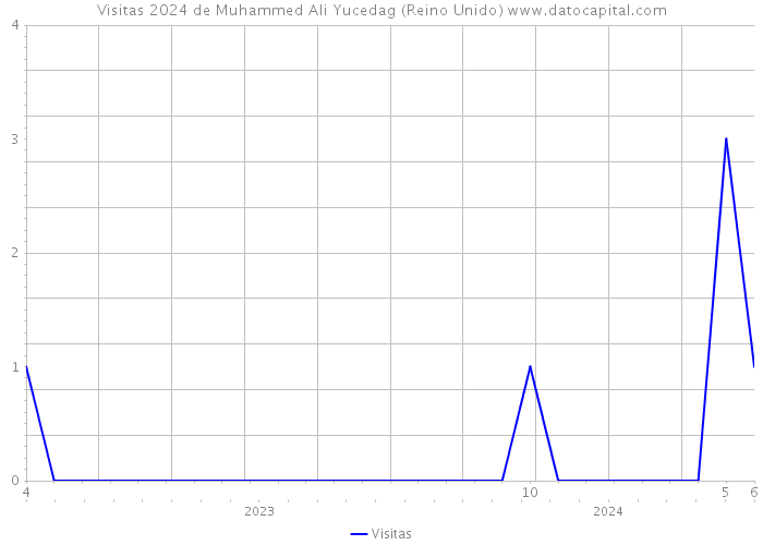 Visitas 2024 de Muhammed Ali Yucedag (Reino Unido) 