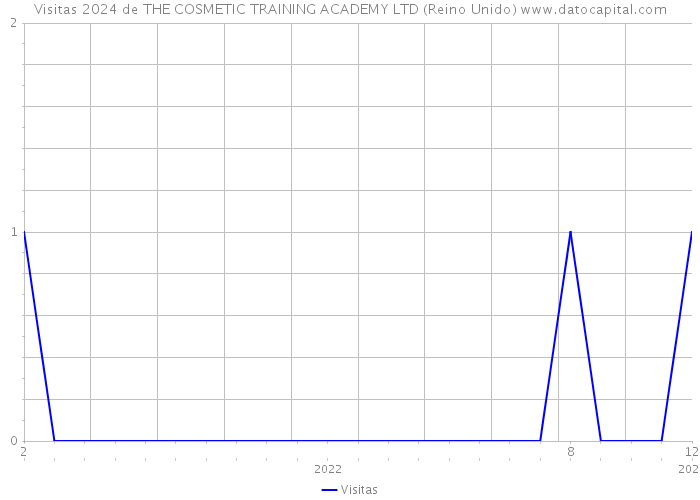 Visitas 2024 de THE COSMETIC TRAINING ACADEMY LTD (Reino Unido) 