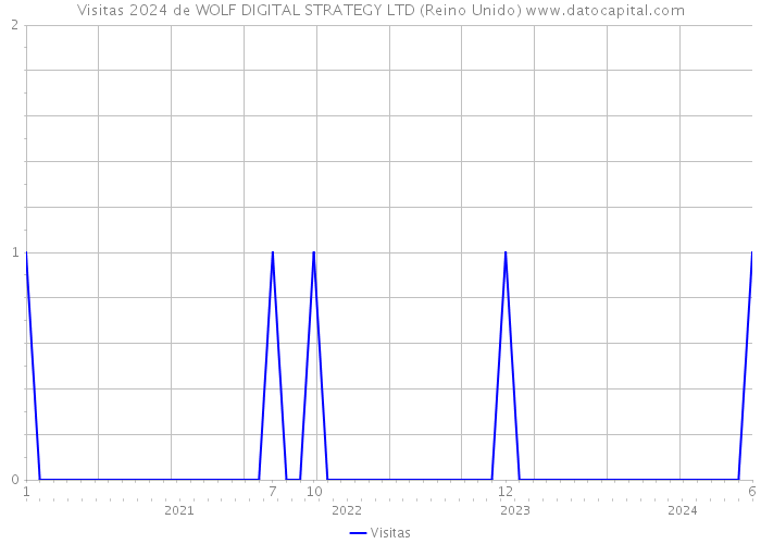 Visitas 2024 de WOLF DIGITAL STRATEGY LTD (Reino Unido) 