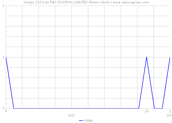 Visitas 2024 de P&C ROOFING LIMITED (Reino Unido) 