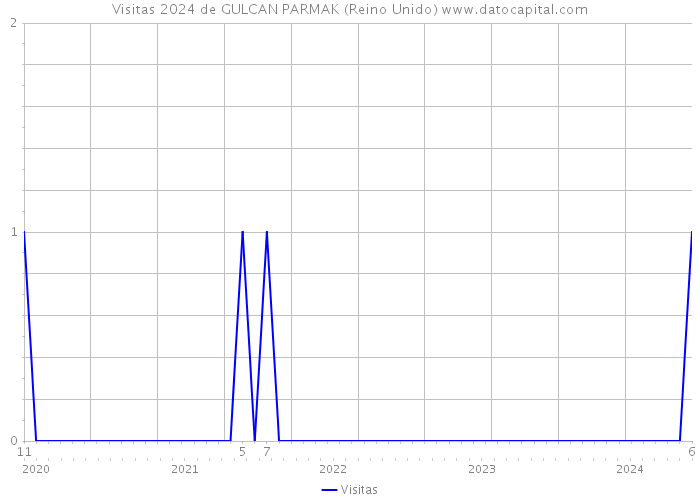 Visitas 2024 de GULCAN PARMAK (Reino Unido) 