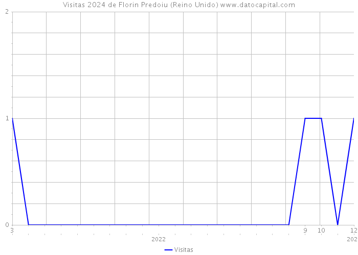 Visitas 2024 de Florin Predoiu (Reino Unido) 