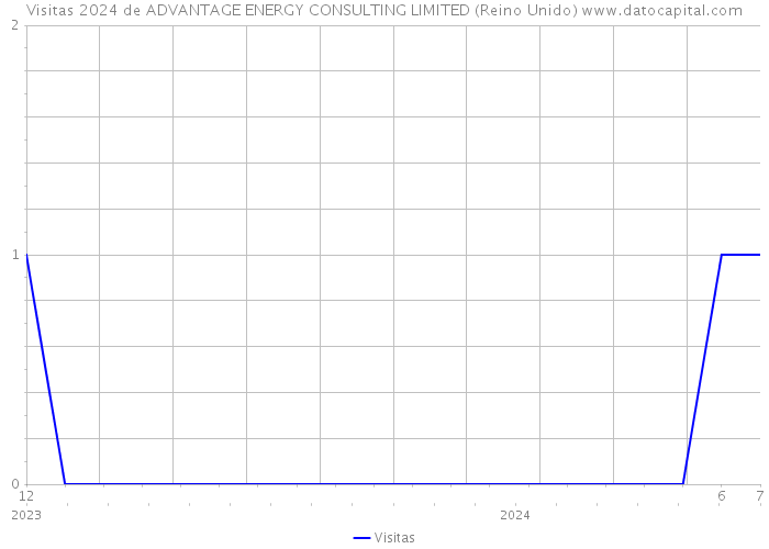 Visitas 2024 de ADVANTAGE ENERGY CONSULTING LIMITED (Reino Unido) 