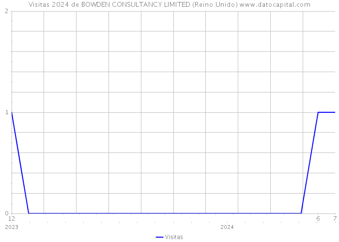 Visitas 2024 de BOWDEN CONSULTANCY LIMITED (Reino Unido) 