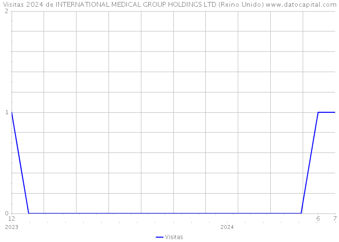 Visitas 2024 de INTERNATIONAL MEDICAL GROUP HOLDINGS LTD (Reino Unido) 