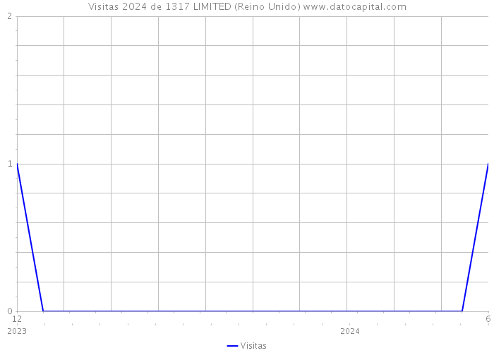 Visitas 2024 de 1317 LIMITED (Reino Unido) 