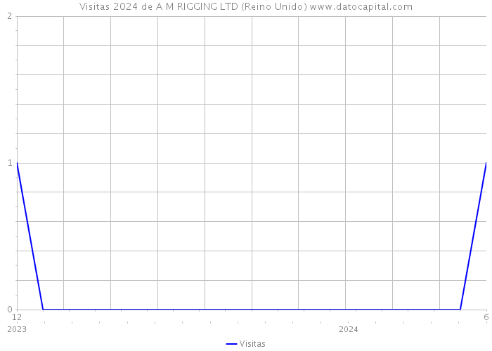 Visitas 2024 de A M RIGGING LTD (Reino Unido) 