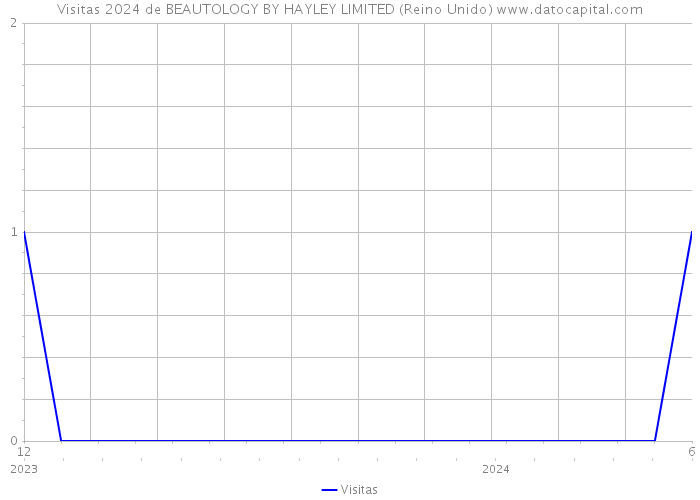 Visitas 2024 de BEAUTOLOGY BY HAYLEY LIMITED (Reino Unido) 