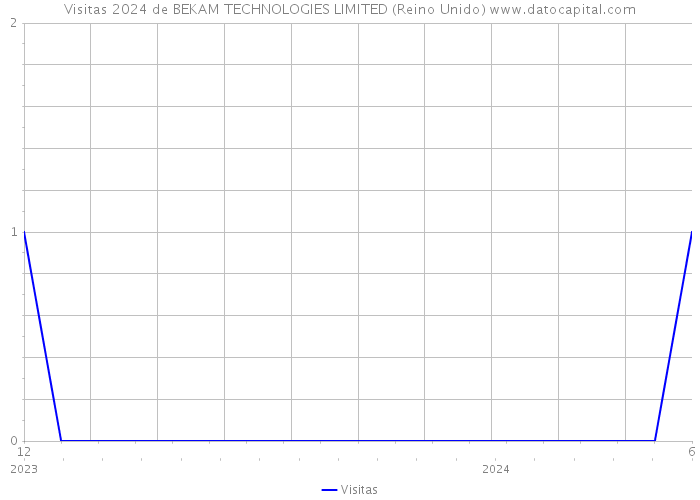 Visitas 2024 de BEKAM TECHNOLOGIES LIMITED (Reino Unido) 