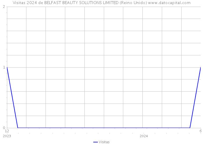 Visitas 2024 de BELFAST BEAUTY SOLUTIONS LIMITED (Reino Unido) 