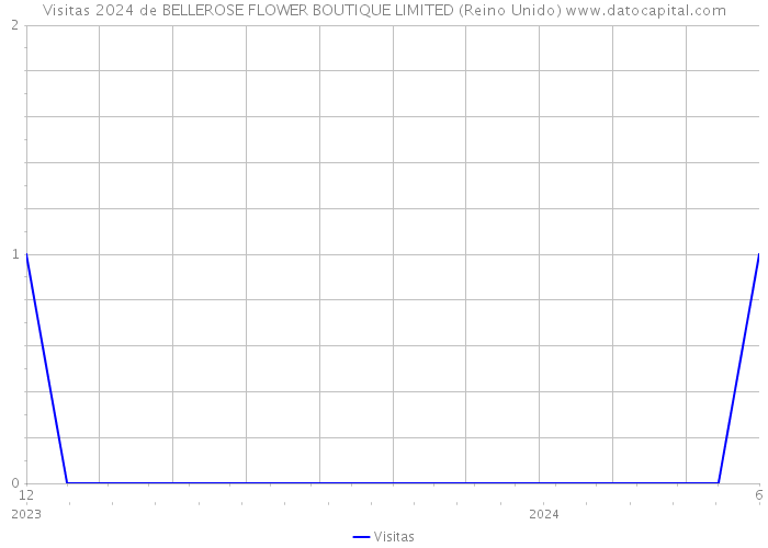 Visitas 2024 de BELLEROSE FLOWER BOUTIQUE LIMITED (Reino Unido) 