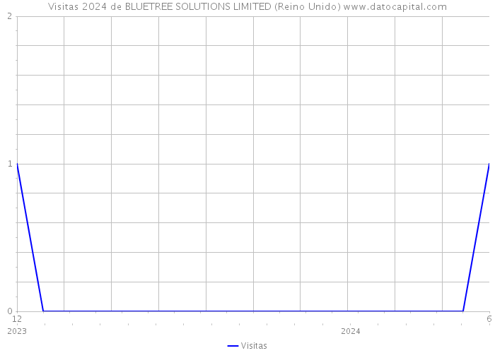 Visitas 2024 de BLUETREE SOLUTIONS LIMITED (Reino Unido) 