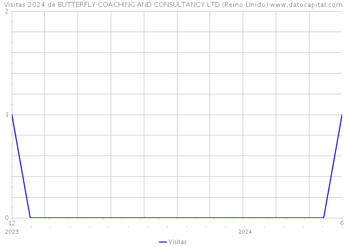 Visitas 2024 de BUTTERFLY COACHING AND CONSULTANCY LTD (Reino Unido) 