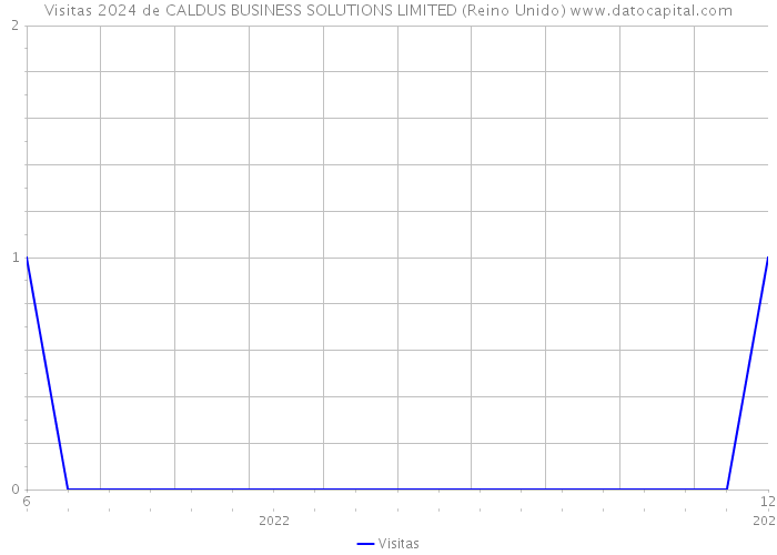 Visitas 2024 de CALDUS BUSINESS SOLUTIONS LIMITED (Reino Unido) 
