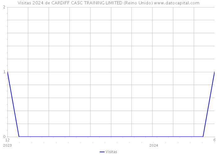 Visitas 2024 de CARDIFF CASC TRAINING LIMITED (Reino Unido) 