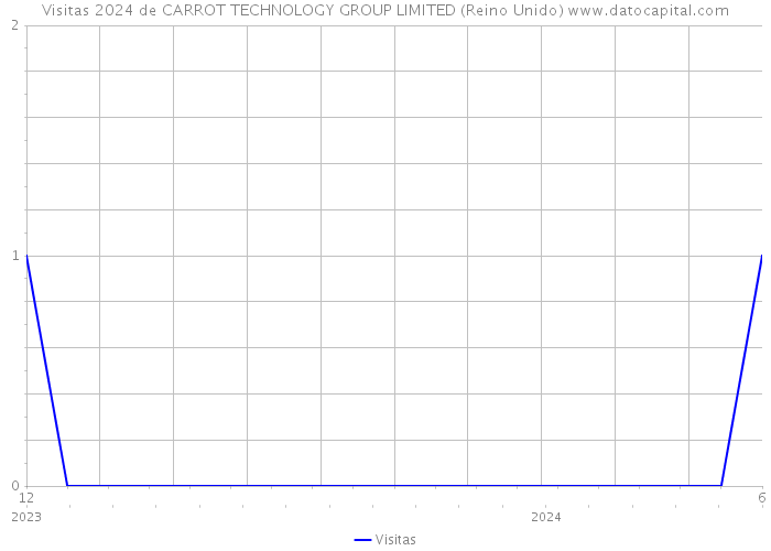 Visitas 2024 de CARROT TECHNOLOGY GROUP LIMITED (Reino Unido) 