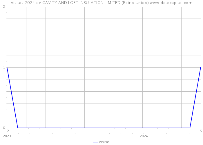 Visitas 2024 de CAVITY AND LOFT INSULATION LIMITED (Reino Unido) 