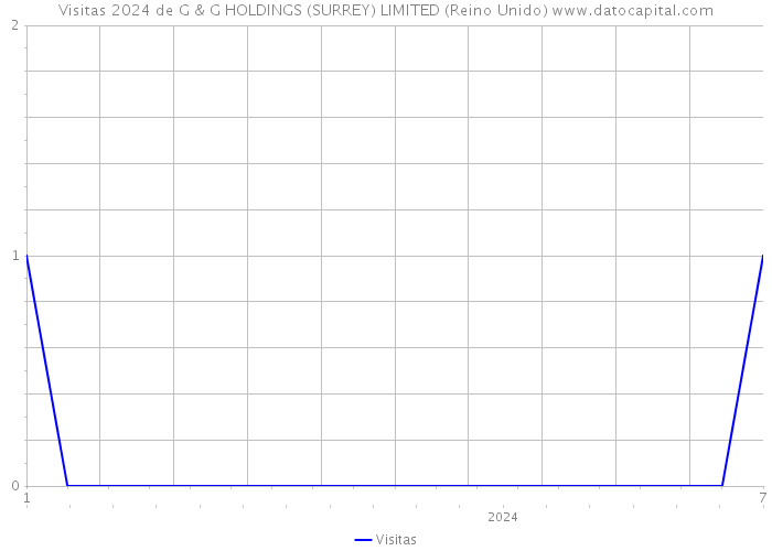 Visitas 2024 de G & G HOLDINGS (SURREY) LIMITED (Reino Unido) 