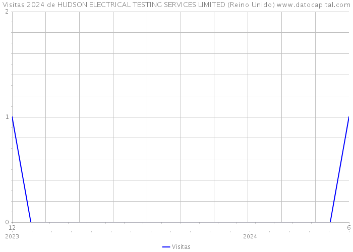 Visitas 2024 de HUDSON ELECTRICAL TESTING SERVICES LIMITED (Reino Unido) 