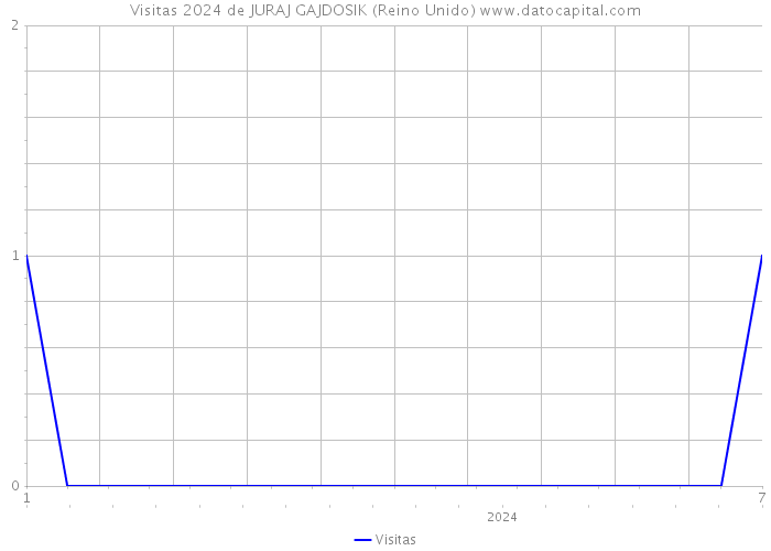 Visitas 2024 de JURAJ GAJDOSIK (Reino Unido) 