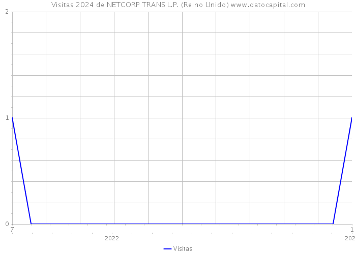 Visitas 2024 de NETCORP TRANS L.P. (Reino Unido) 
