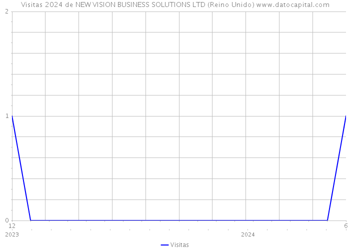 Visitas 2024 de NEW VISION BUSINESS SOLUTIONS LTD (Reino Unido) 