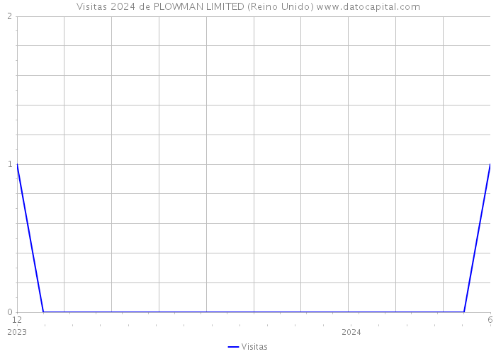 Visitas 2024 de PLOWMAN LIMITED (Reino Unido) 