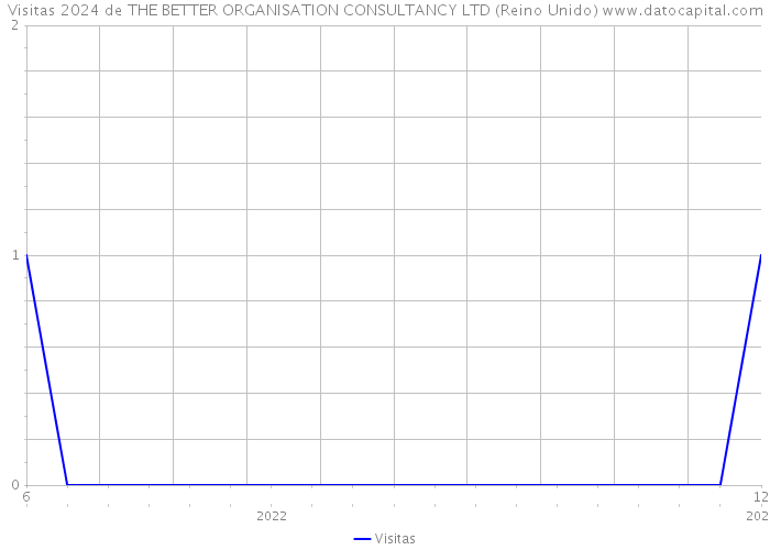 Visitas 2024 de THE BETTER ORGANISATION CONSULTANCY LTD (Reino Unido) 