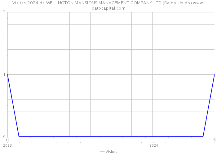 Visitas 2024 de WELLINGTON MANSIONS MANAGEMENT COMPANY LTD (Reino Unido) 