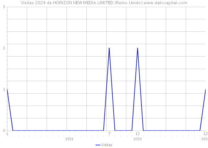 Visitas 2024 de HORIZON NEW MEDIA LIMITED (Reino Unido) 