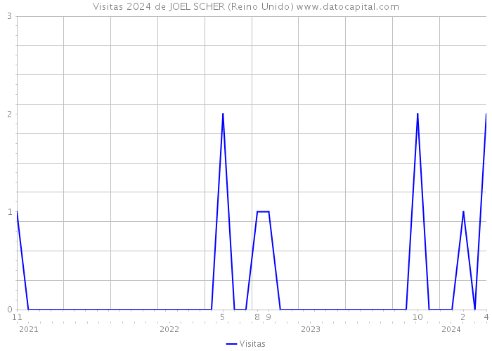 Visitas 2024 de JOEL SCHER (Reino Unido) 