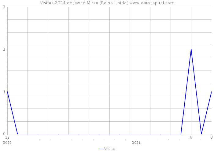 Visitas 2024 de Jawad Mirza (Reino Unido) 