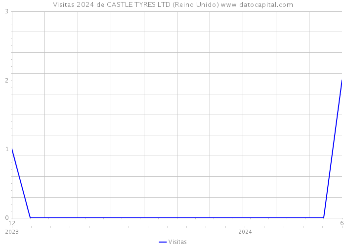 Visitas 2024 de CASTLE TYRES LTD (Reino Unido) 