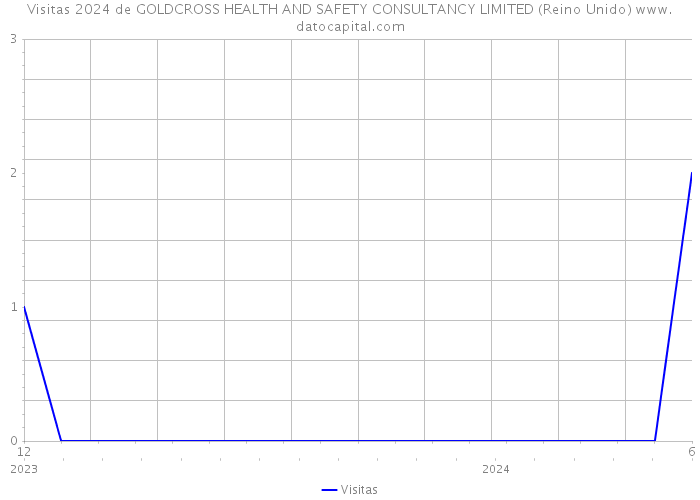 Visitas 2024 de GOLDCROSS HEALTH AND SAFETY CONSULTANCY LIMITED (Reino Unido) 