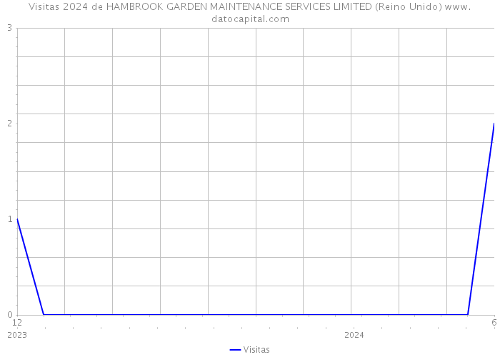 Visitas 2024 de HAMBROOK GARDEN MAINTENANCE SERVICES LIMITED (Reino Unido) 